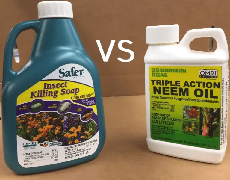 Neem vs insecticidal soap